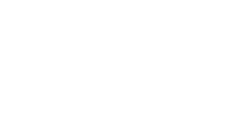 LIDL logotipas